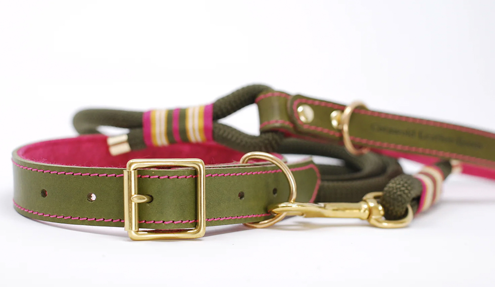 dog collar, dog lead